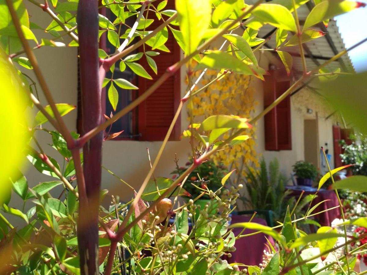 Maison Des Amis Vatopedi Exterior foto