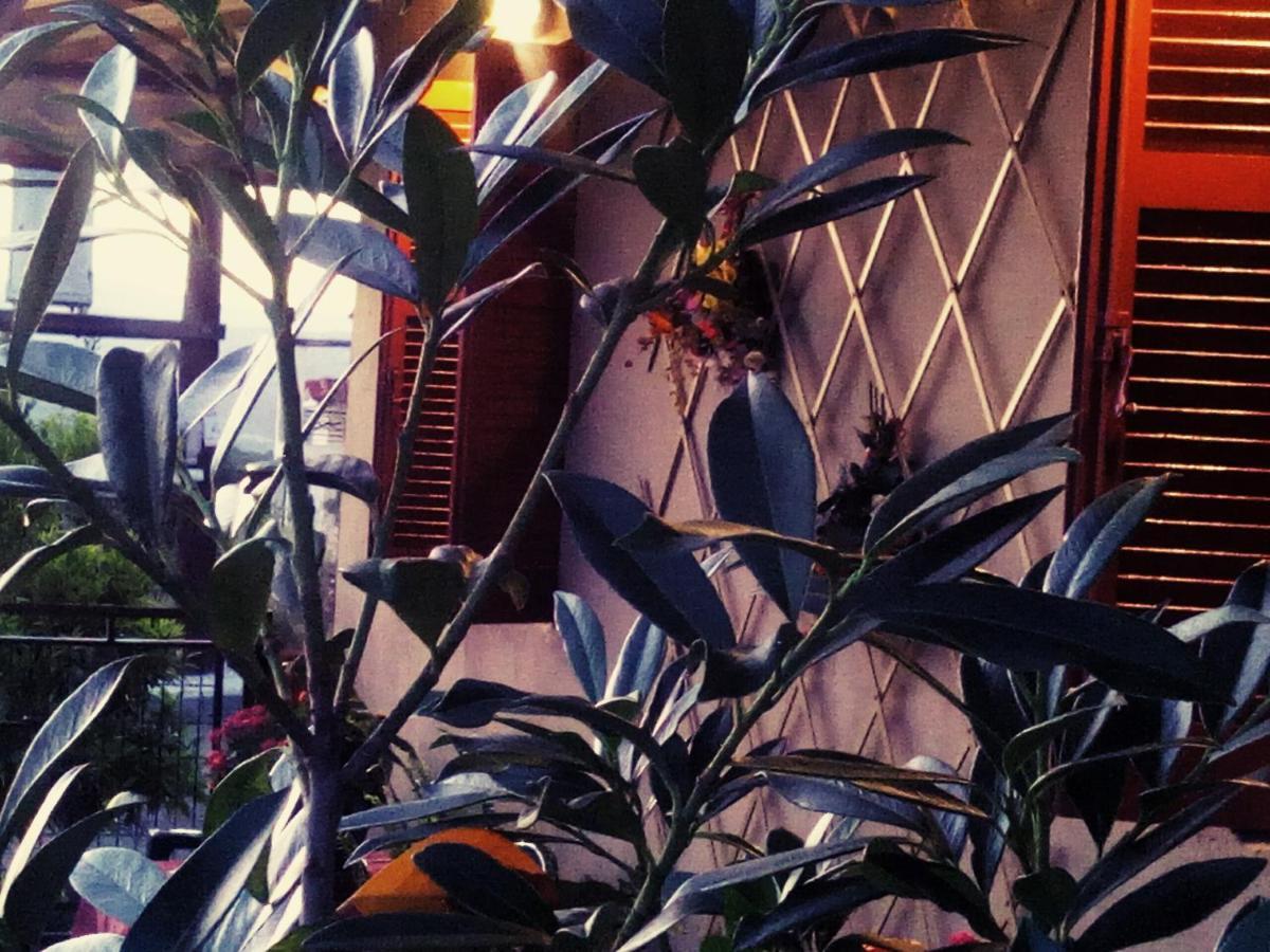 Maison Des Amis Vatopedi Exterior foto